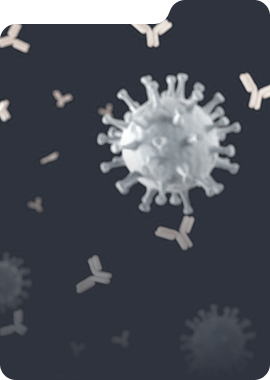 Antibody Lead Optimization – antibody engineering to obtain me-better leads