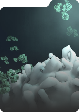 In Vitro Bioassay – functional characterization and lead selection