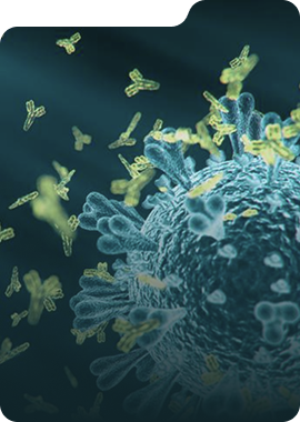 In Vivo Pharmacology – preclinical efficacy and safety evaluation
