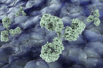 Webinar – Faster Biologics Path, Smarter Screening