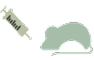 In Vivo Validation – step 5 icon