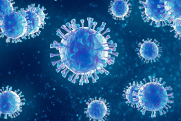 One Stop Solution for Cell Therapy IND Filing – in as little as 6 months – Flyer