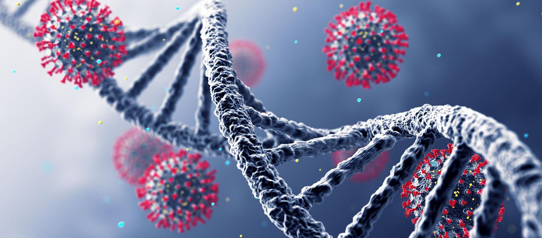 Lentiviral Vector (LVV) Plasmid Services – IND-ready royalty-free helper plasmids