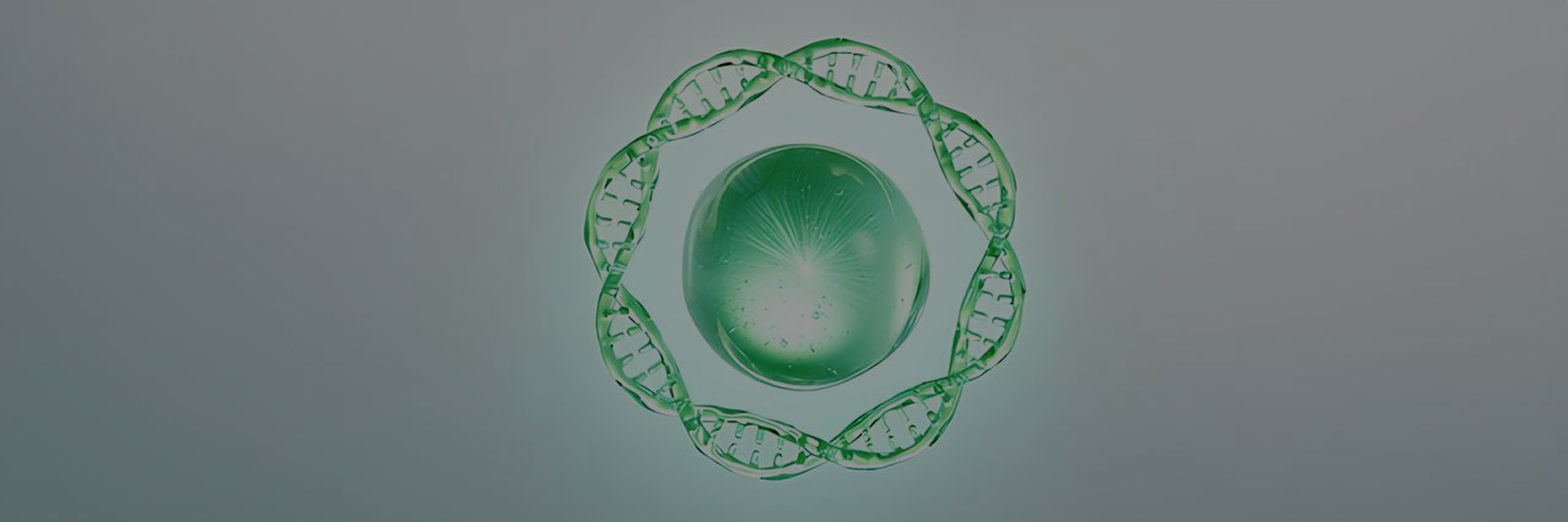 AAssistV™ Plasmids – Ready-to-Use AAV Helper Plasmids with FDA DMF Registration
