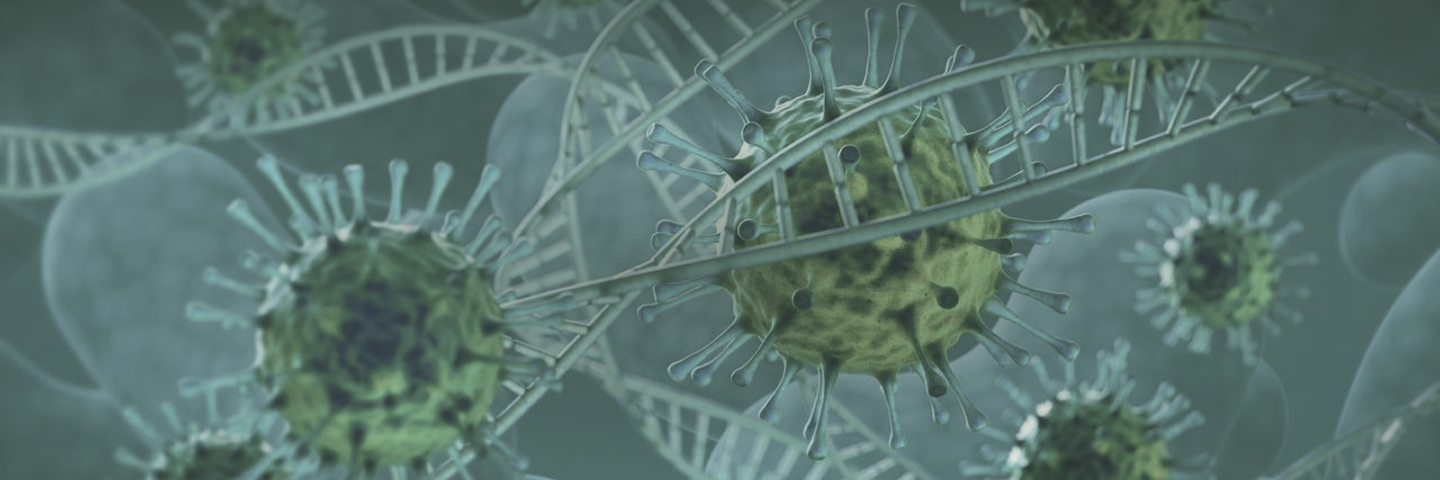 Plasmid Services for Adeno-Associated Viral Vector (AAV)