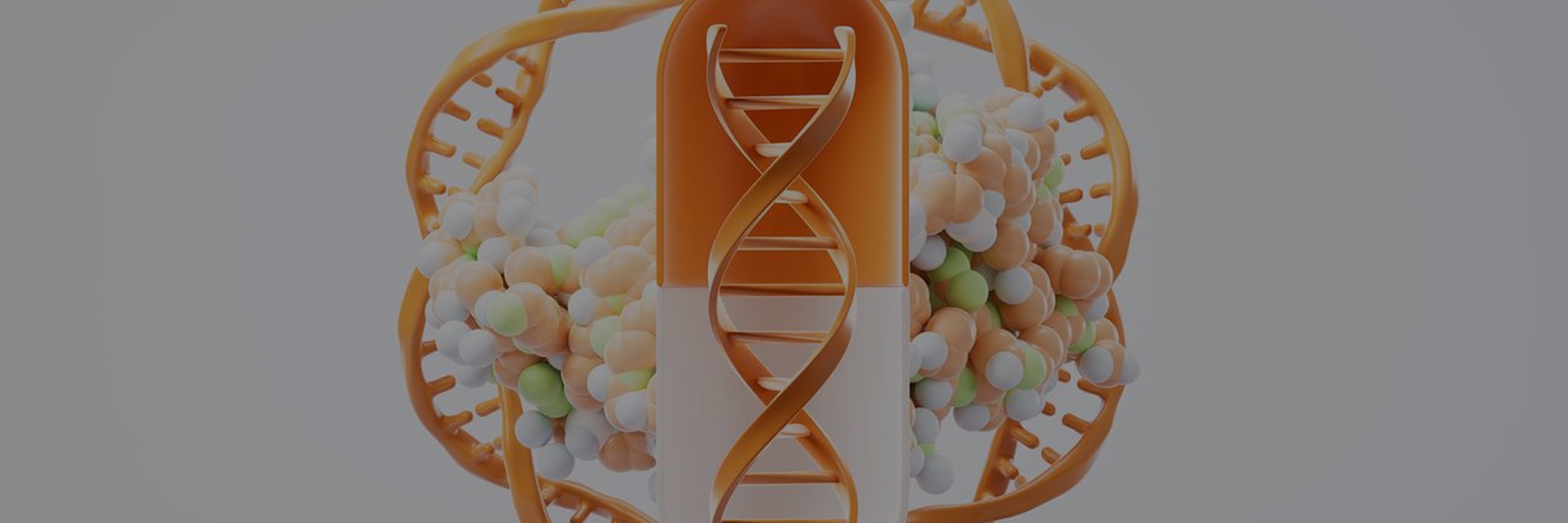 AAV Plasmid CMC to GMP Services – Scalable GMP Plasmid Manufacturing for Gene Therapy