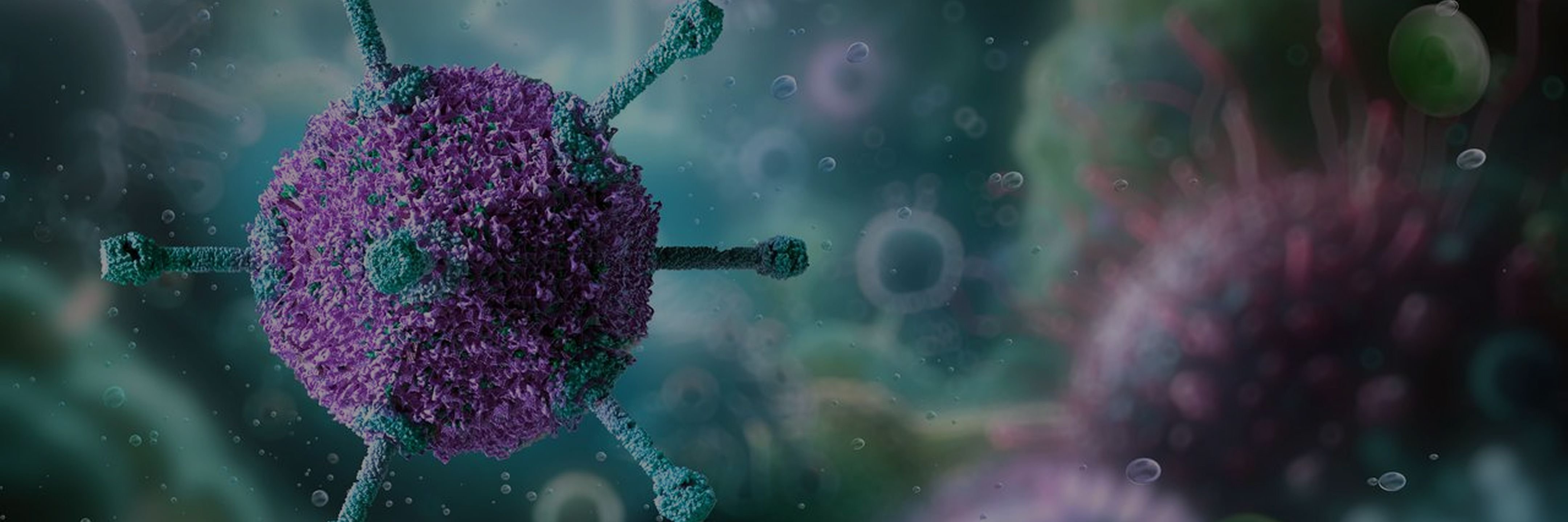 AAV packaging test and ProAAV manufacturing for non-clinical studies - ProBio CDMO