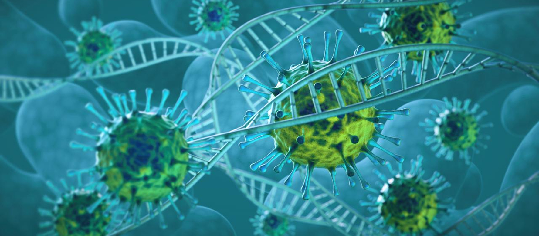 Adeno-associated virus (AAV) Plasmid Services – DMF-ready AAV helper and Rep/Cap plasmids