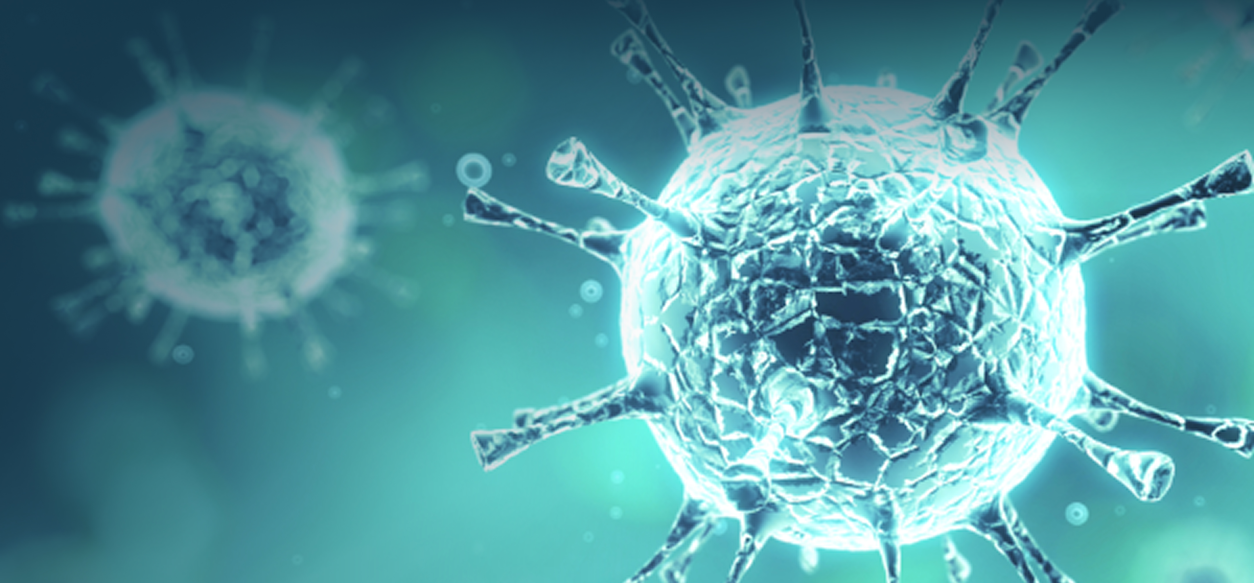bannerPC