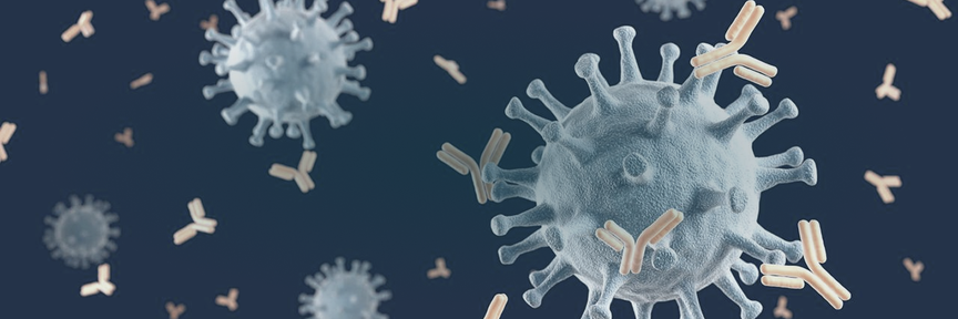 Antibody Lead Optimization