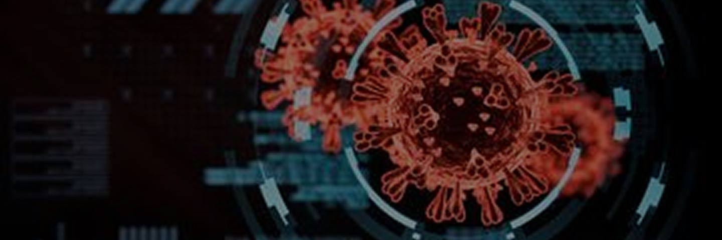 In Vivo Efficacy Study Banner – Oncology and Immunotherapy Models