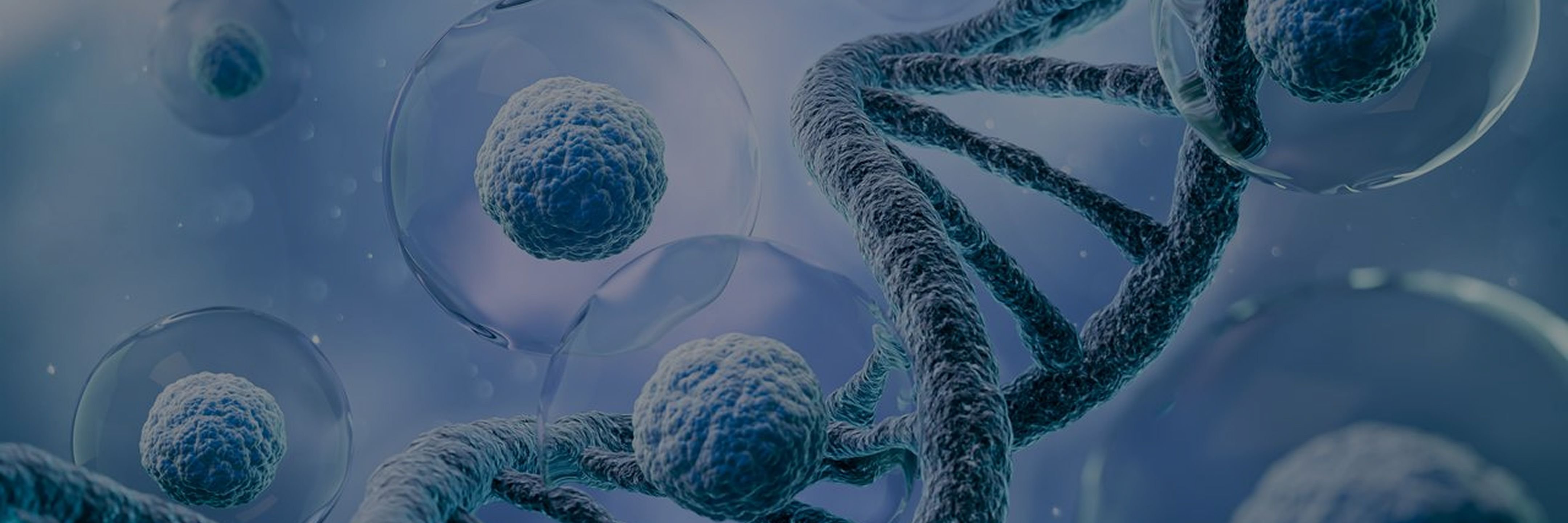 ProBio CHO-K1 host cell licensing – high-yield expression platform