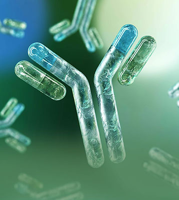 ProBio BsAb discovery strategies – cell engager and dual-target blockade mechanisms