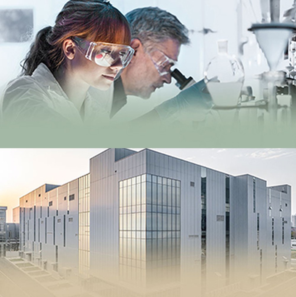 ProBio tech transfer and GMP manufacturing for bispecific antibodies