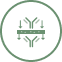Antibody production and functional validation from Fab library hits