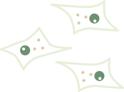 GMP-Ready Helper Plasmids for Scalable LVV Manufacturing