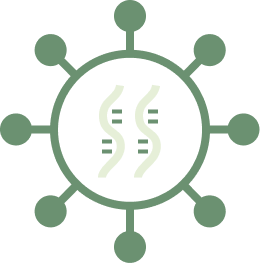 GMP-Ready Helper Plasmids for Scalable LVV Manufacturing