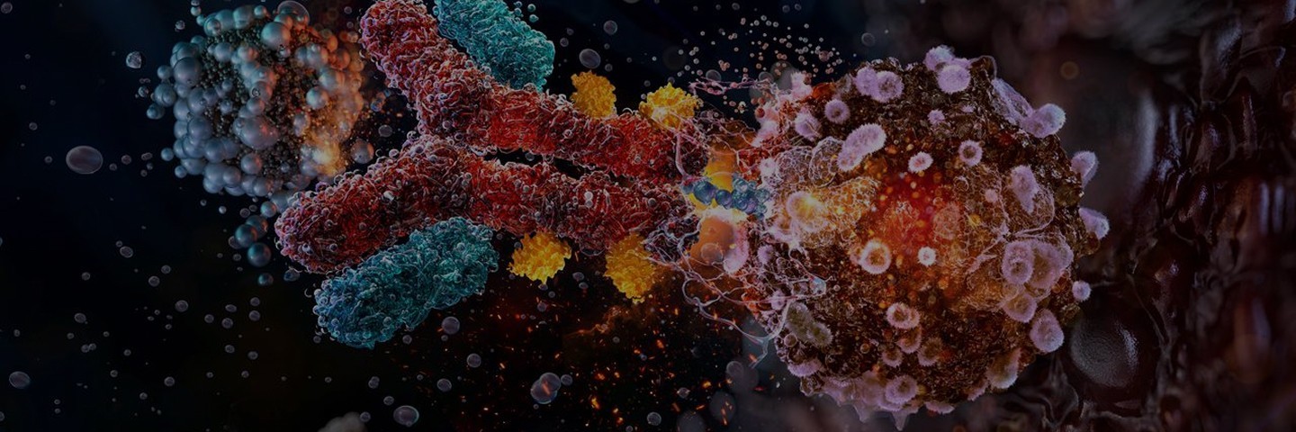 ADC Discovery and Development