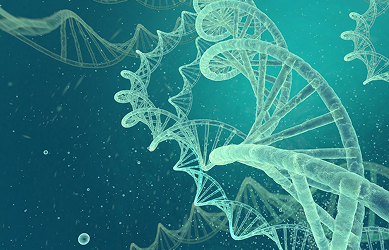 High-yield plasmid fermentation for DNA vaccines - PowerS-DNA+ strain delivering up to 3 g/L yield