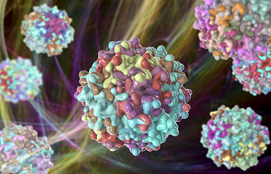 Integrated AAV gene therapy platform from discovery to GMP manufacturing
