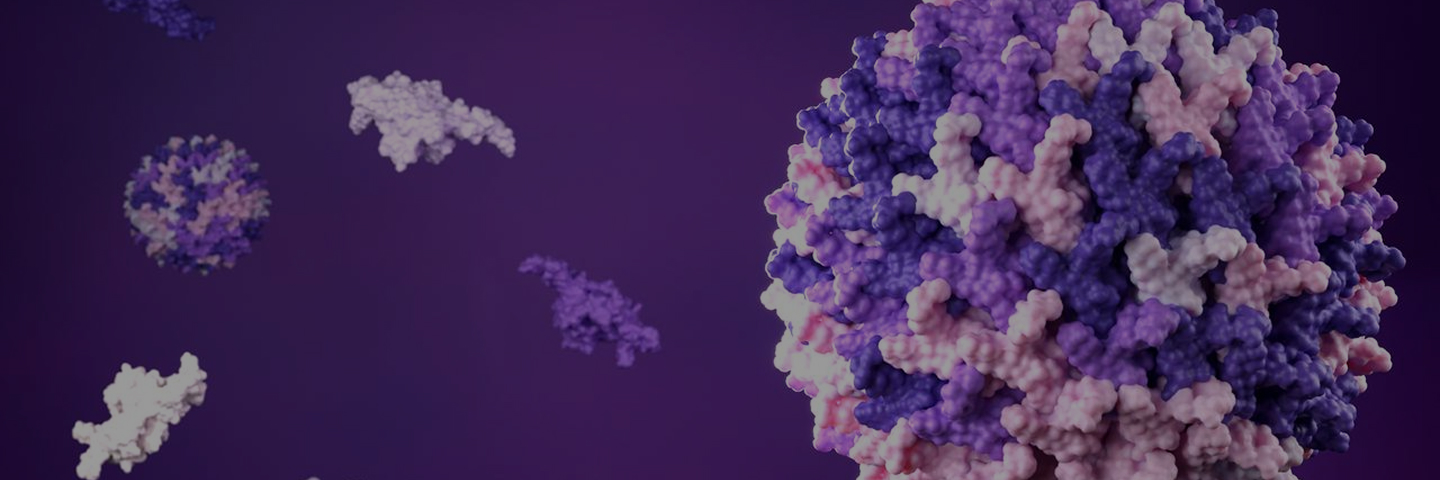 AAV gene therapy development and GMP manufacturing services