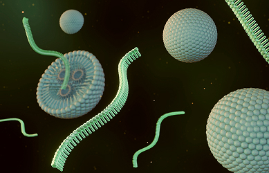Integrated mRNA-LNP manufacturing workflow from DNA to clinic