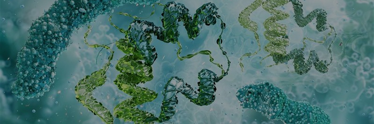 ProBio GMP plasmid manufacturing solutions banner - End-to-end plasmid DNA production for gene therapy, mRNA therapeutics, and DNA vaccines