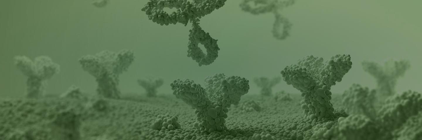 ProBio Monoclonal and Bispecific Antibody Development Services Banner