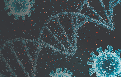 ProBio Integrated Discovery-to-IND Platform for In Vivo CAR-T Programs