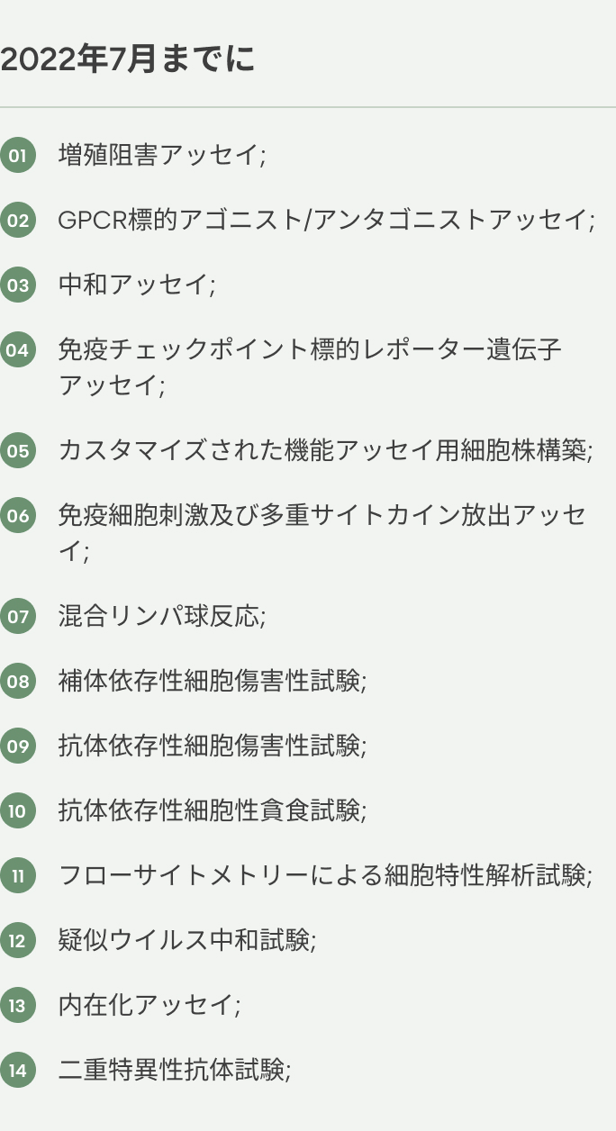 icon-11