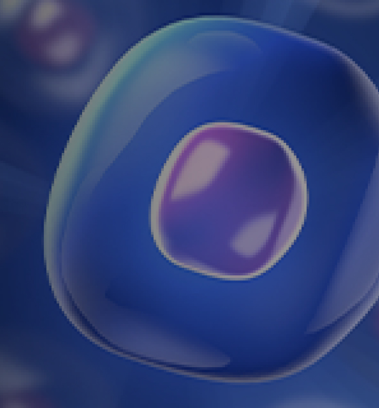 banner-m.jpg