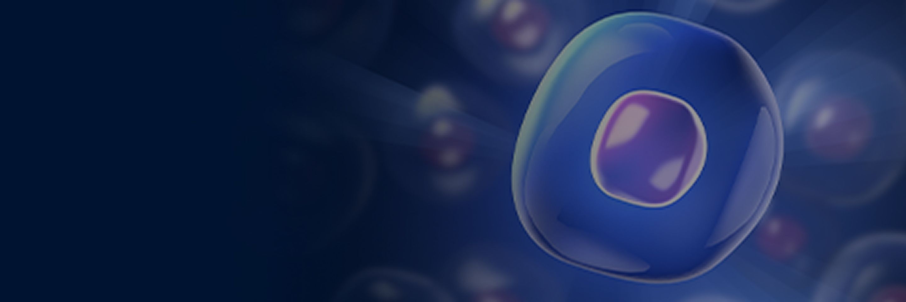 banner-pc.jpg