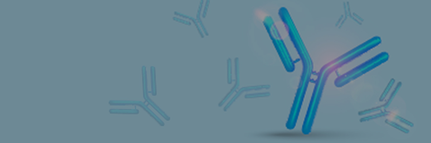 banner-pc