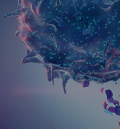 banner-M