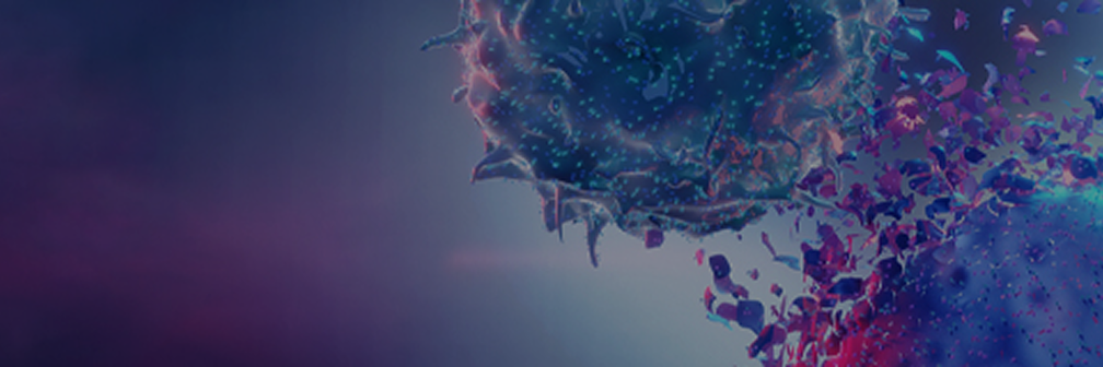 banner-PC