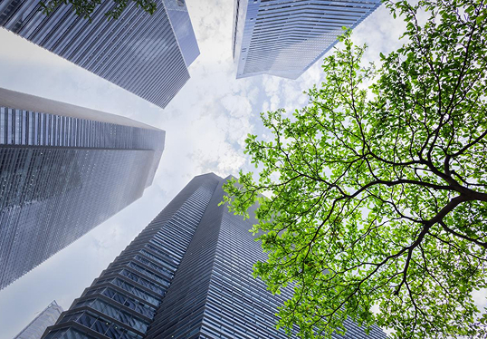 Our Commitment – Ethical responsibility from early-stage research to manufacturing at ProBio