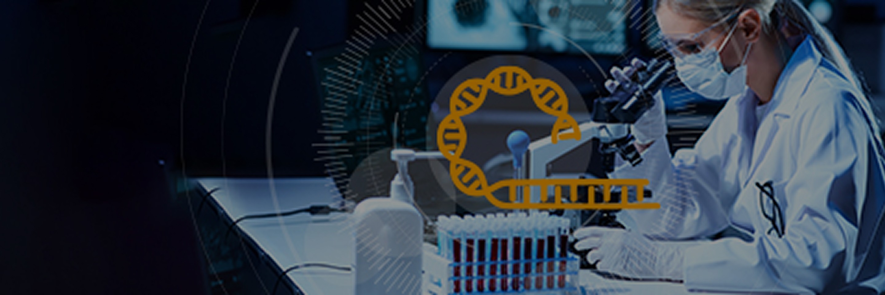 banner-pc.jpg