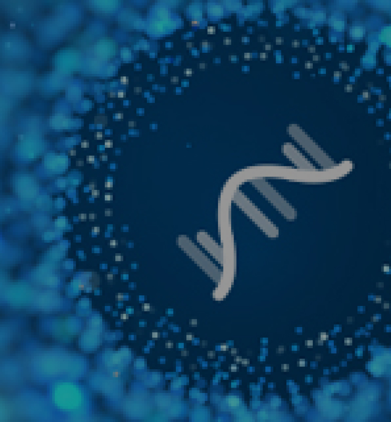 banner-m.jpg