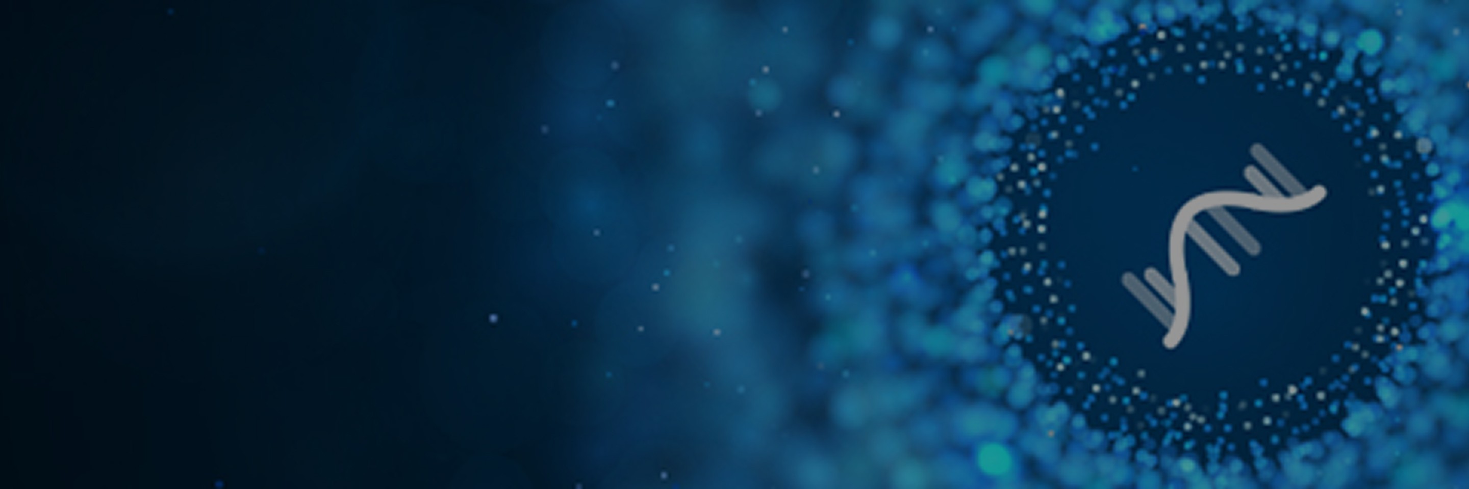 banner-pc.jpg