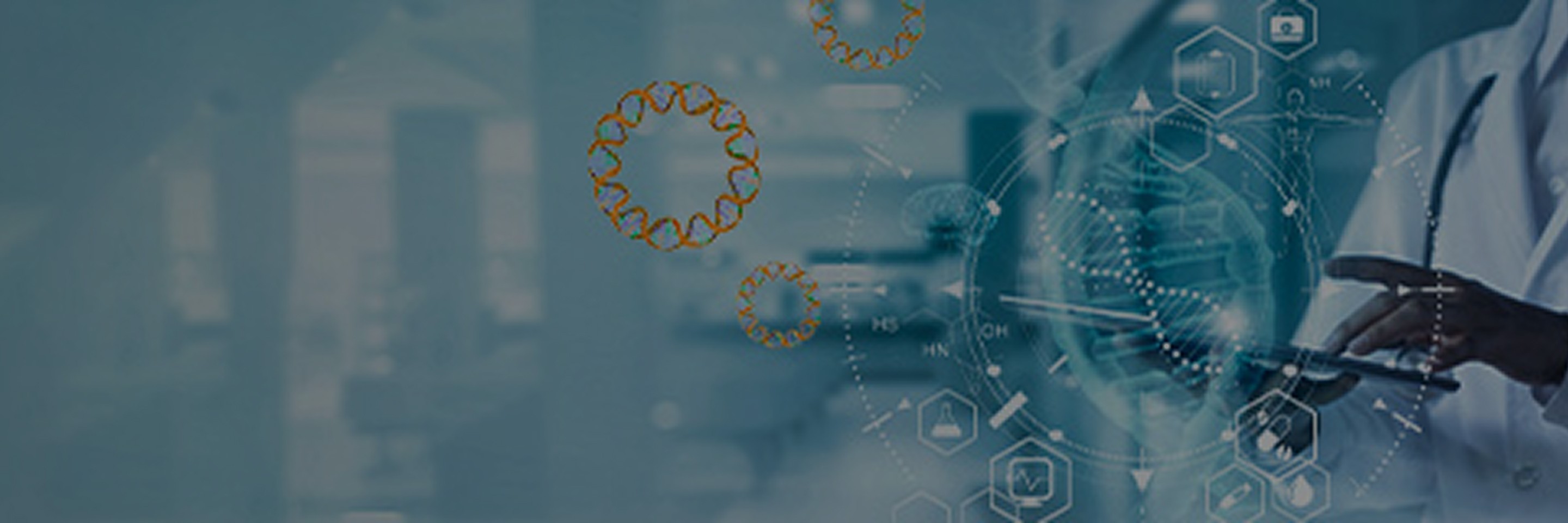 banner-pc.jpg