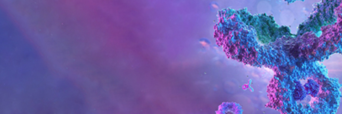 antibody-humanization