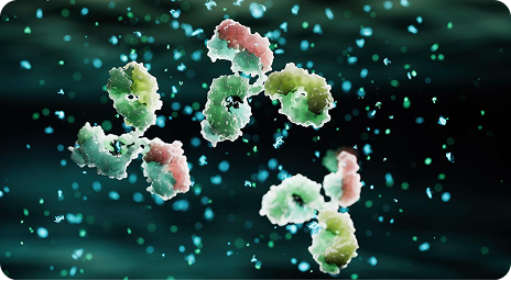 Bispecific and Trispecific Antibodies