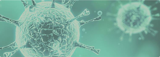 ProBio CDMO Expands Viral Vector Development Capabilities at US site with New Packaging Test Platform