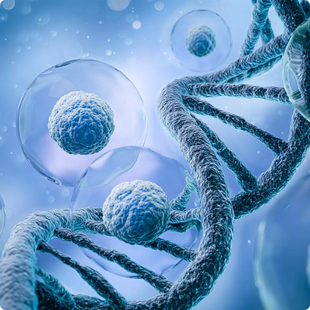 ProBio Discovery Services – Antibody Discovery and Developability Assessment