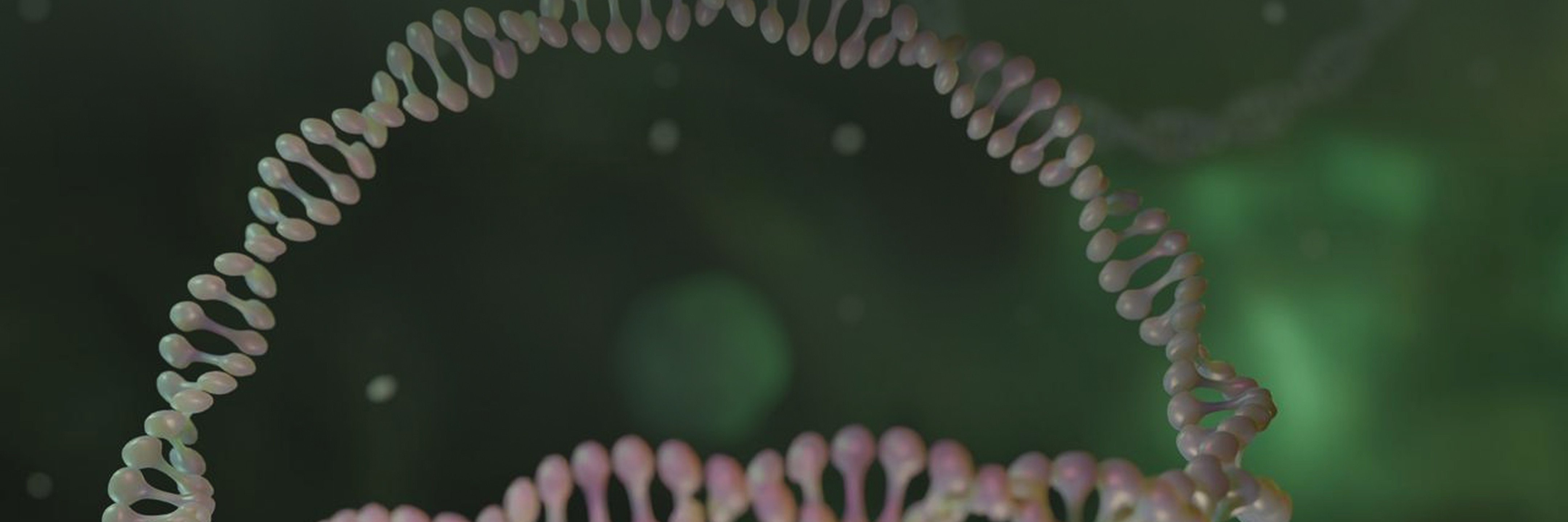 mRNA Plasmid Services