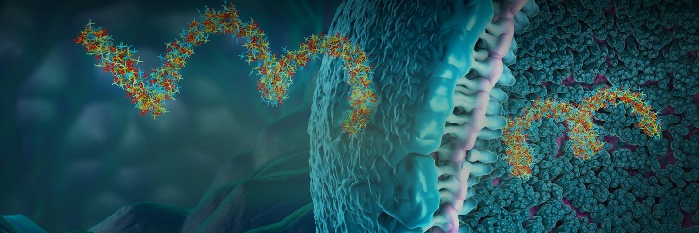Accelerate IND Submission with mRNA-LNP IND-Enabling CMC Services - ProBio