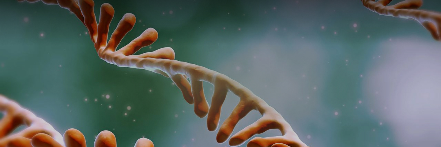 cGMP mRNA-LNP Manufacturing Services for Clinical and Commercial Production - ProBio