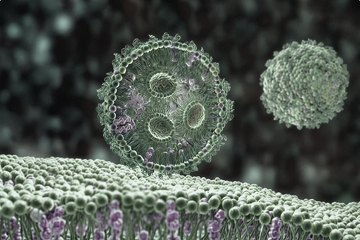 One Stop Solution for mRNA-LNP IND Filing in as little as 5 months – Flyer