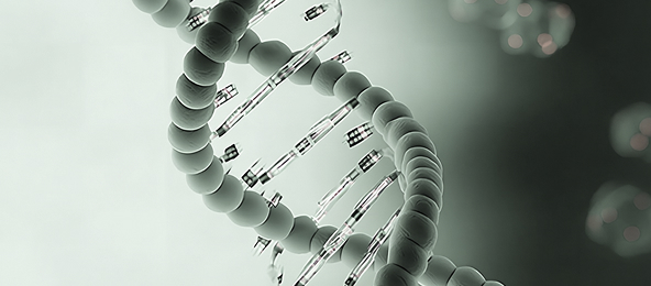 mRNA Plasmid Services – PowerS-PolyAssure strain and IntegraBone backbone for poly(A) stability